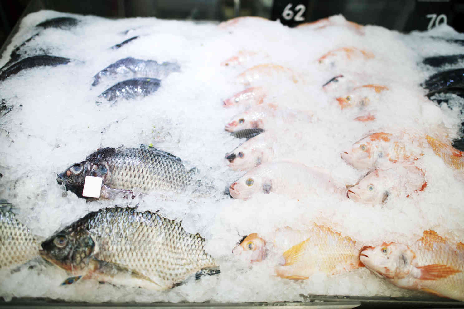 Eingefrorenen Fisch auftauen - das musst du beachten