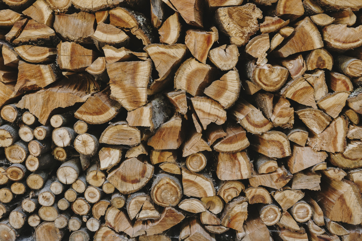 Welches Holz zum Smoken verwenden?