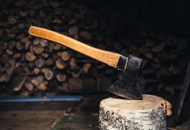 Finde hier das beste Hickory Holz für echten Grillgeschmack. Bleib natürlich – wähle Qualität. Schnapp dir dein Aroma!