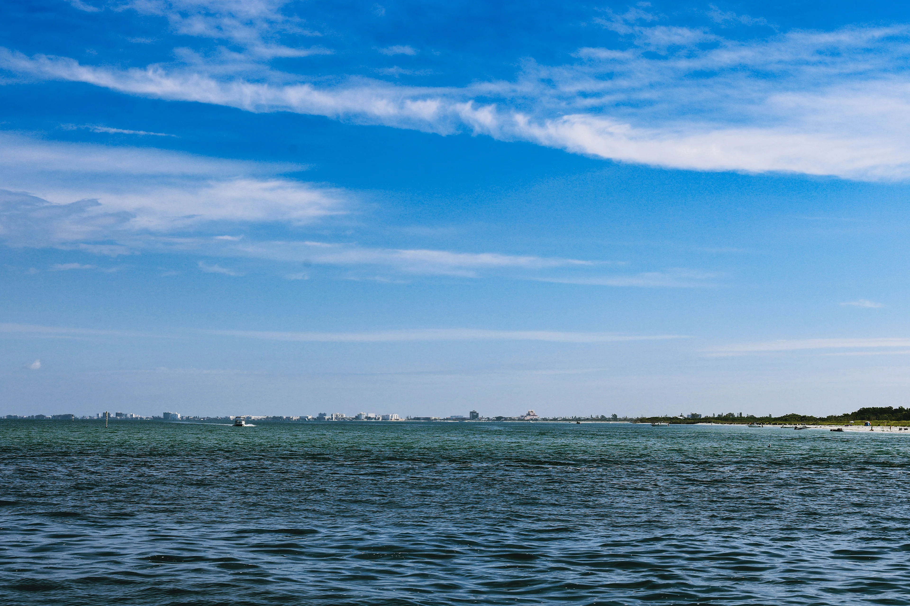 2026 Focus Conference