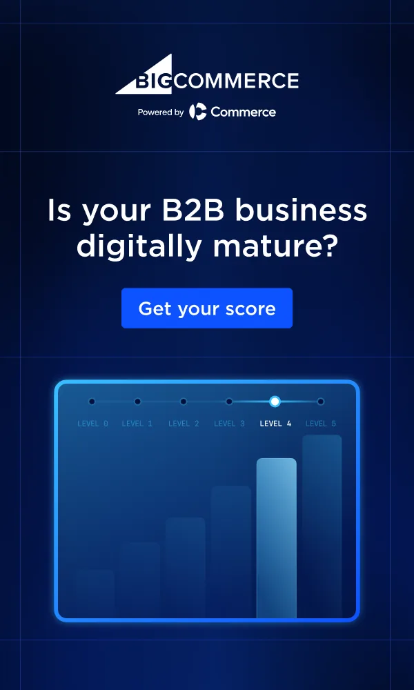 1st Run of site website – 300x500 px