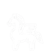 Myths and Misperceptions-02