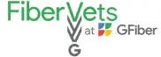 Fiber vets Image-DEIB