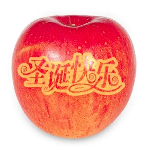 merry christmas in Chinese on an apple