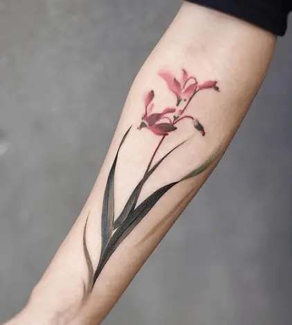 Red Chinese ground orchid tattooed-min