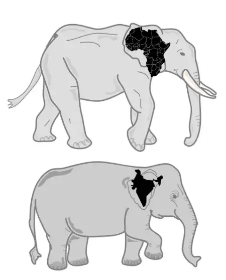 elephant mnemonics