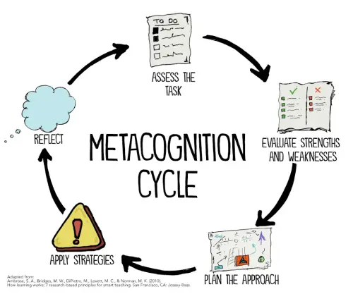 The Metacognition Cycle