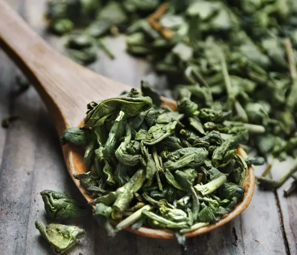 green tea leaves