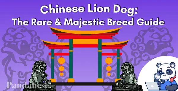 Chinese Lion Dog: A Guide to the Rare and Majestic Breed