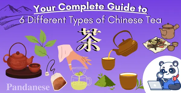 Types of Tea: How to Steep & Serve Different Varieties
