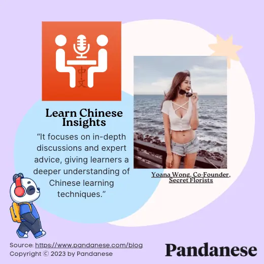 Learn Chinese Insights Chinese podcasts