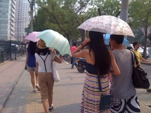 umbrella on a sunny day