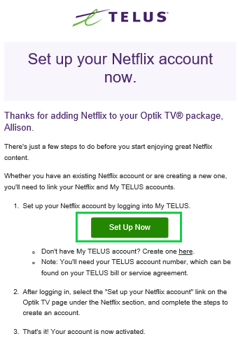 Netflix OptikTV Setup, step 1