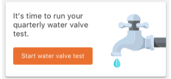FortezZ Water Valve Test Start