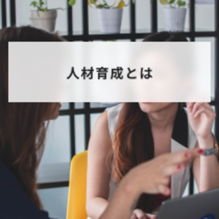 人材育成の基礎知識