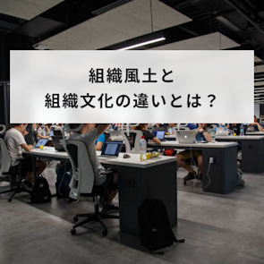 組織風土とは?組織文化との違いや醸成と改革のポイントを解説