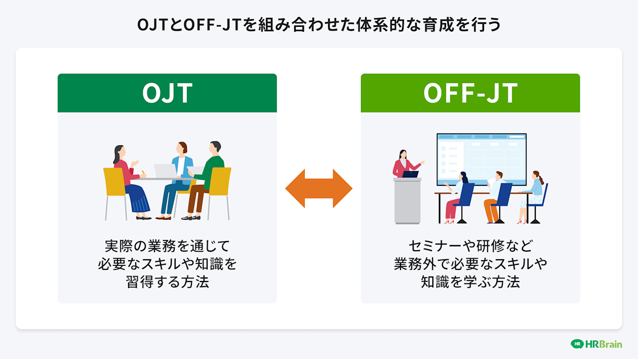 OJTとOFF-JTを組み合わせた体系的な育成を行う