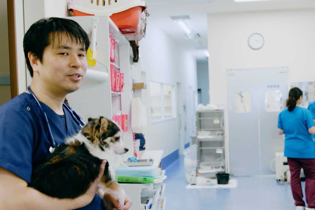 aeonpet-説明画像-04
