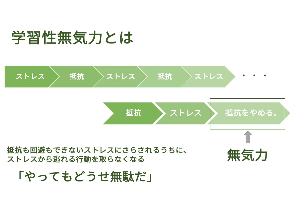 組織の変革を拒む学習性無気力から脱出する方法 Hr大学 組織の変革を拒む学習性無気力から脱出する方法 Hr大学