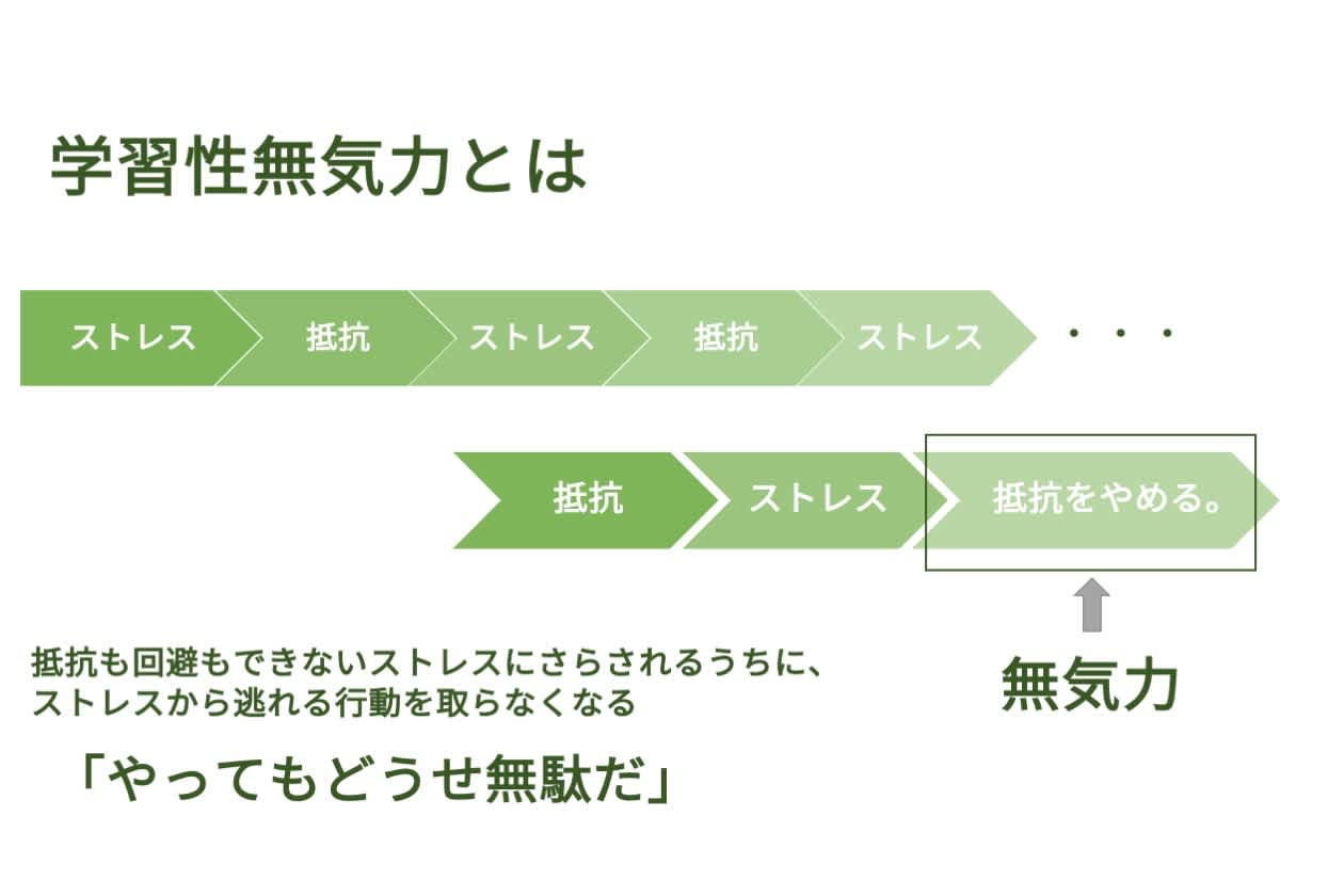学習性無気力の解説