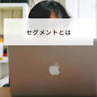 セグメントとは?意味とマーケティングでの分析方法や企業での使い方と成功事例について解説