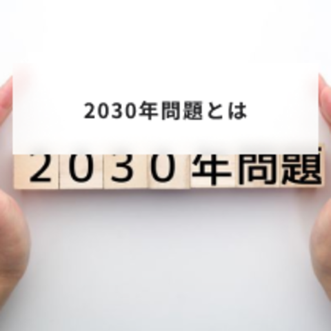 2030年問題とは?企業への影響と具体例、取るべき対策を分かりやすく解説