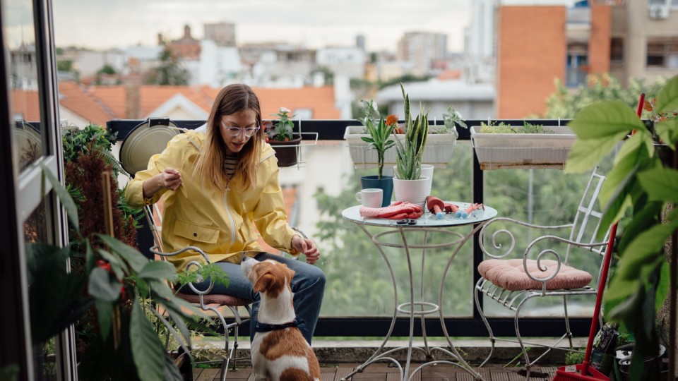 Tragbarkeitsrechnung: Frau mit Hund auf Balkon