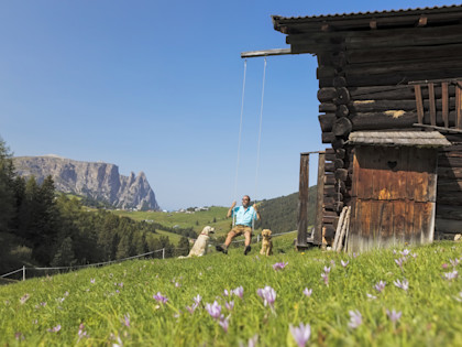 Hypothek für Ferienhaus: Mann mit Hunden vor Ferienhaus