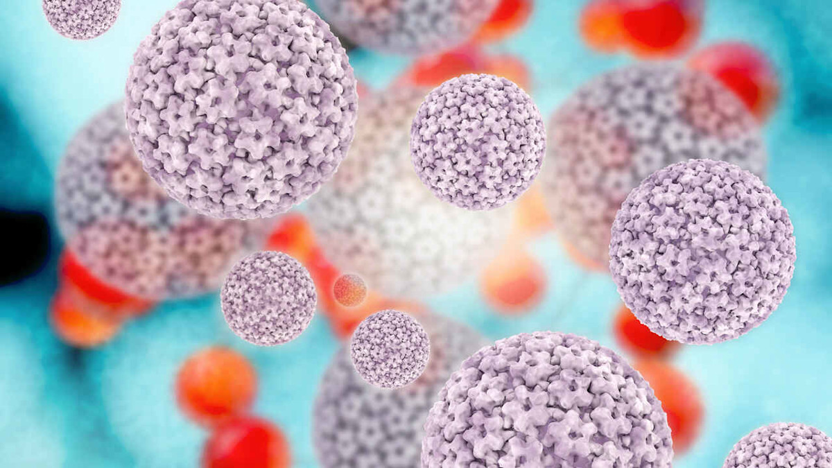 Grafische 3D-Darstellung von humanen Papillomviren (HPV).