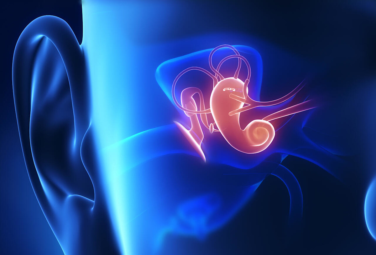 3D Grafik: Anatomische Darstellung Mittelohr.