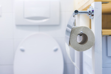 Eine Rolle Toilettenpapier hängt im Badezimmer. Im Hintergrund ist eine Toilette zu sehen.