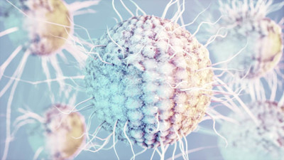 Grafische Darstellung eines Herpesvirus.