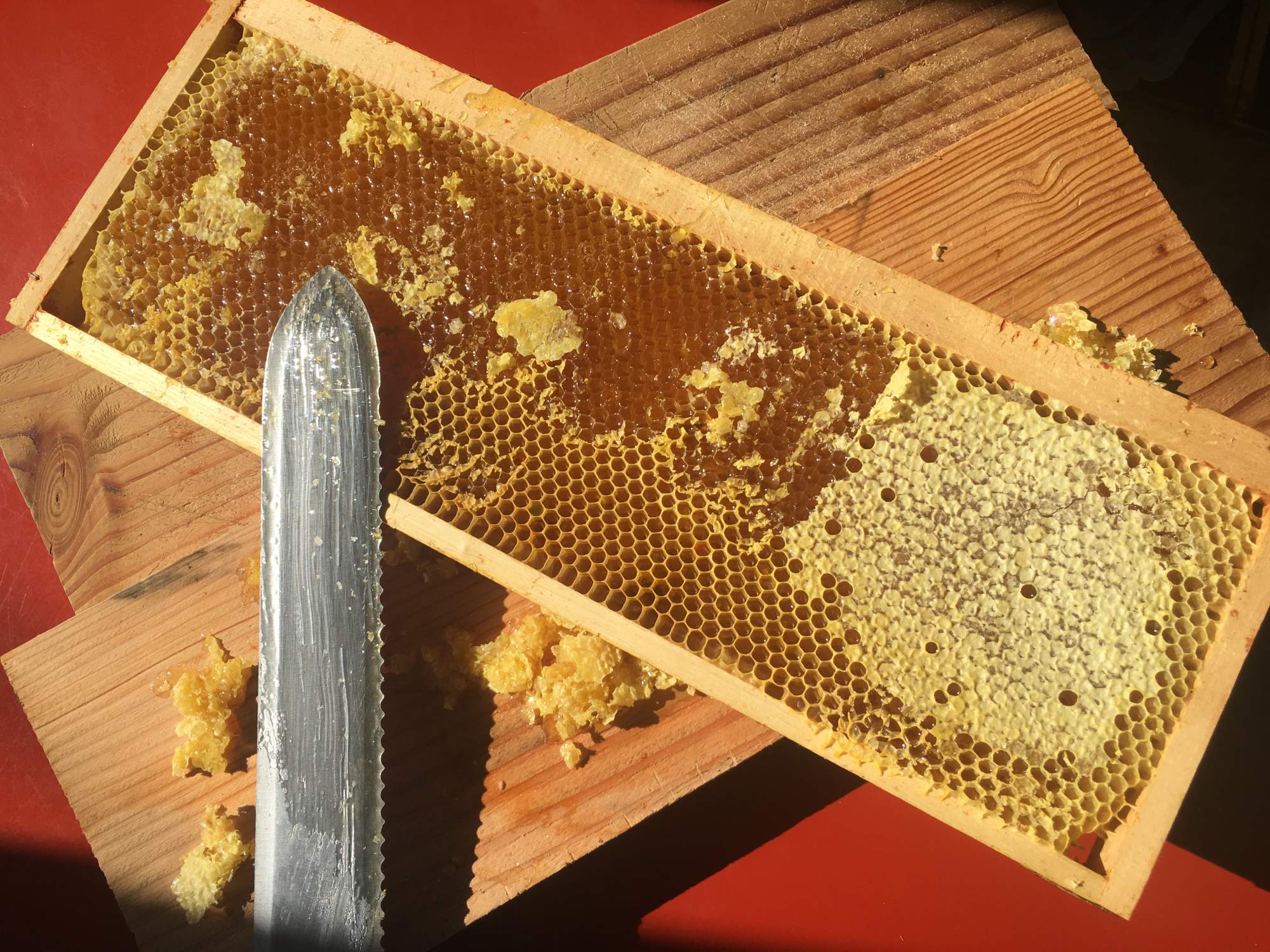 Miel en brèche