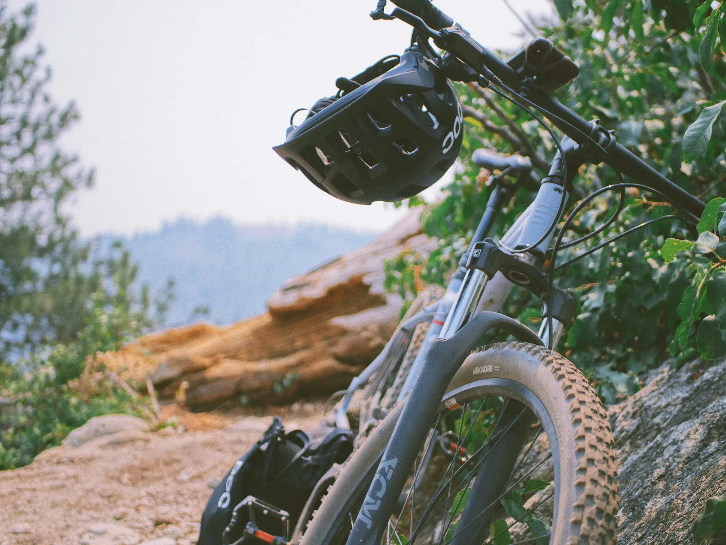 Picture of Mountain Bike on Forest Trail