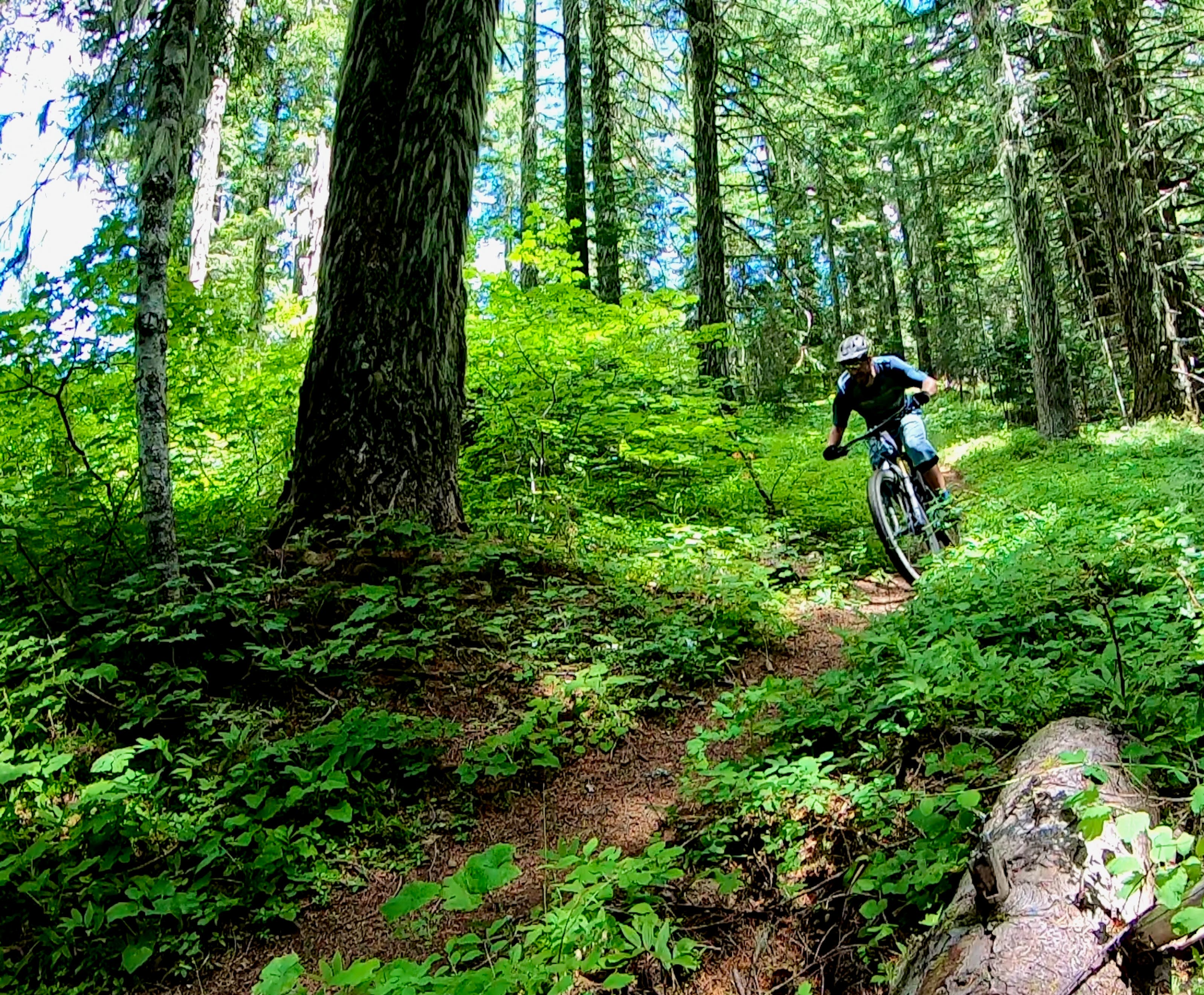 8 of the Most Technical Mountain Bike Trails in the USA, According