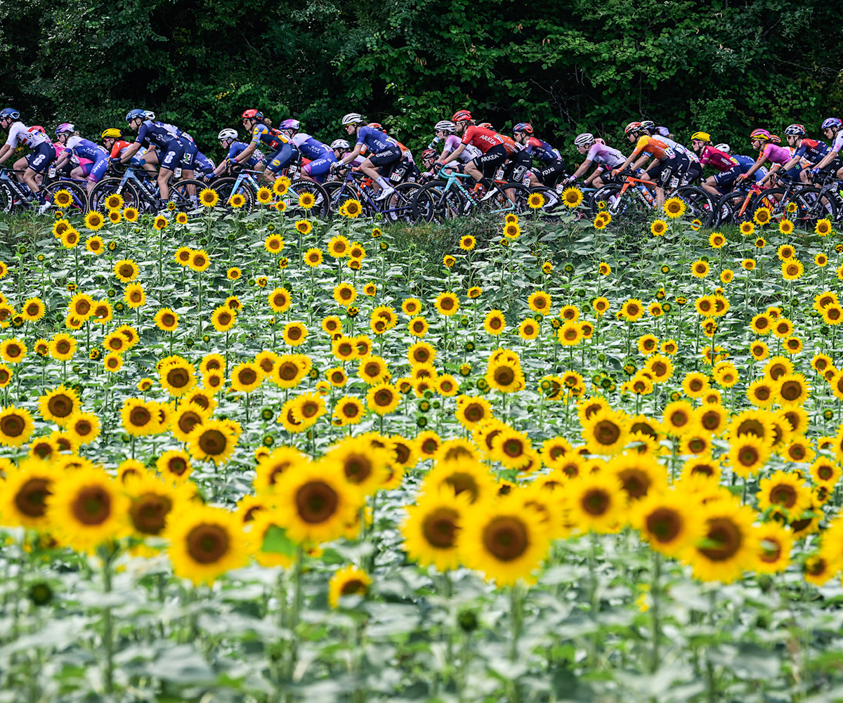 Your Year With The Pros A Guide to the 2024 Road Racing Season