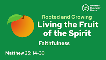 Living the Fruit of the Spirit 6 - 'Faithfulness'