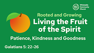 Living the Fruit of the Spirit 5 - 'Patience, Kindness and Goodness'
