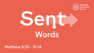 Sent 1 - Words