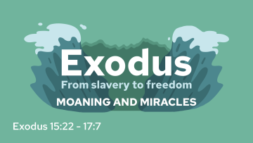 Exodus 9 - 'Moaning and Miracles'