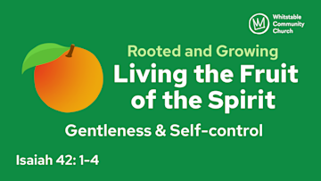 Living the Fruit of the Spirit 7 - 'Gentleness & Self-control'