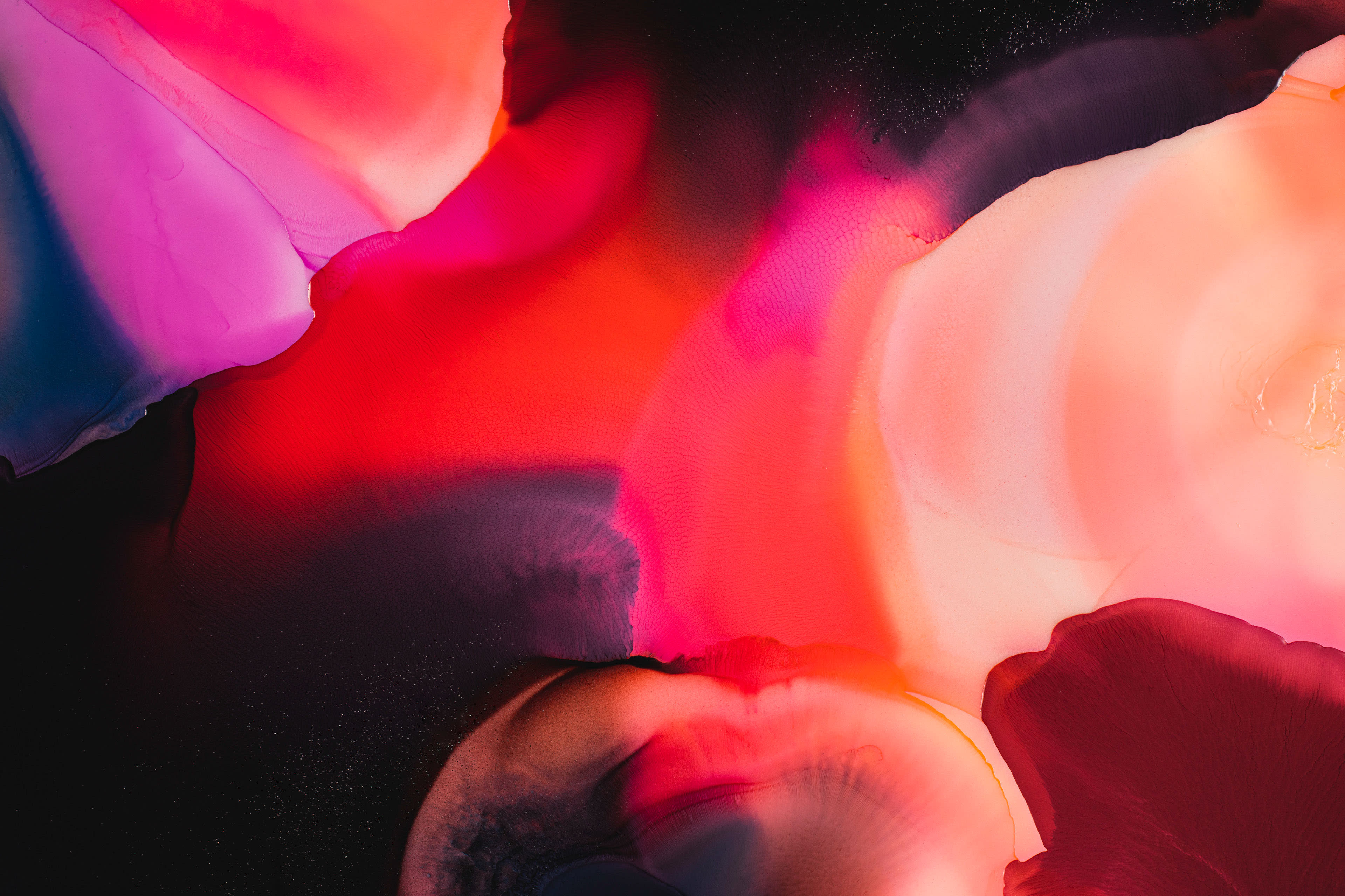 Cover Image for My experience like