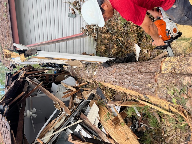 24/7 Emergency Tree Service in Fairfield CT 