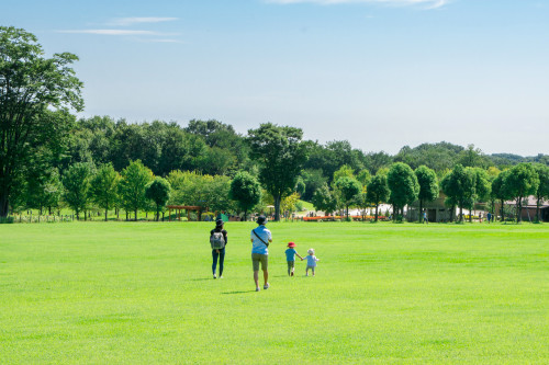 休日を公園で過ごすファミリー