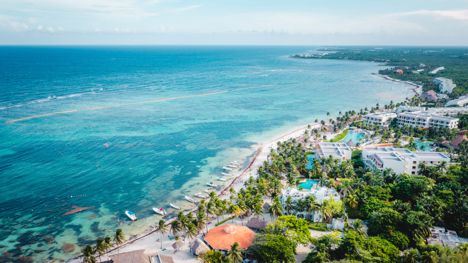 Aerial view of a tropical beach