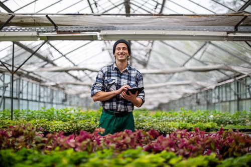 Young man holding digital tablet in hothouse