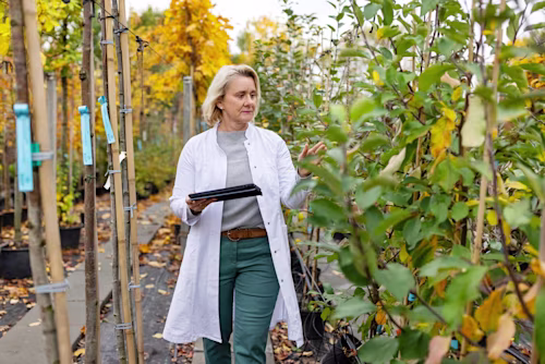 Senior woman agronomist with digital tablet checking the growth of the trees at a plant nursery. 