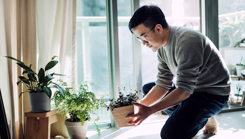 リビングの植物に水をやるアジア人男性