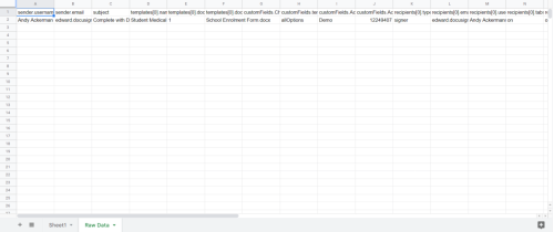 The new Raw Data tab created in the target spreadsheet