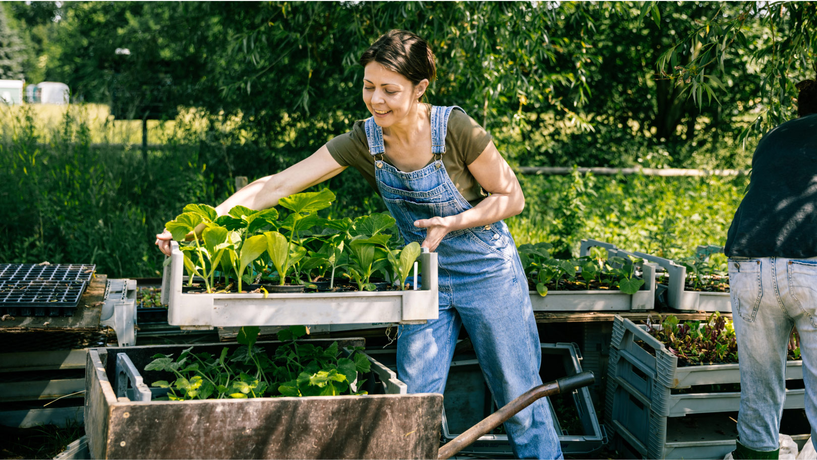 Hero Image Agrotoken renueva el sector agrícola gracias a DocuSign